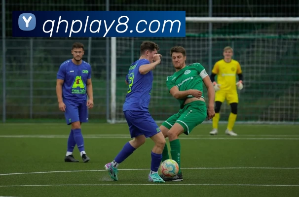 启航娱乐官网平台生态图